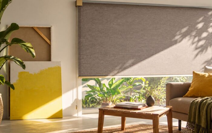 Cortina Enrollable Screen Fabricante Distribuidor Mn Decormed Valencia