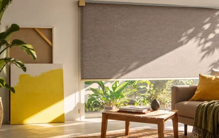 Cortina Enrollable Screen Fabricante Distribuidor Mn Decormed Valencia